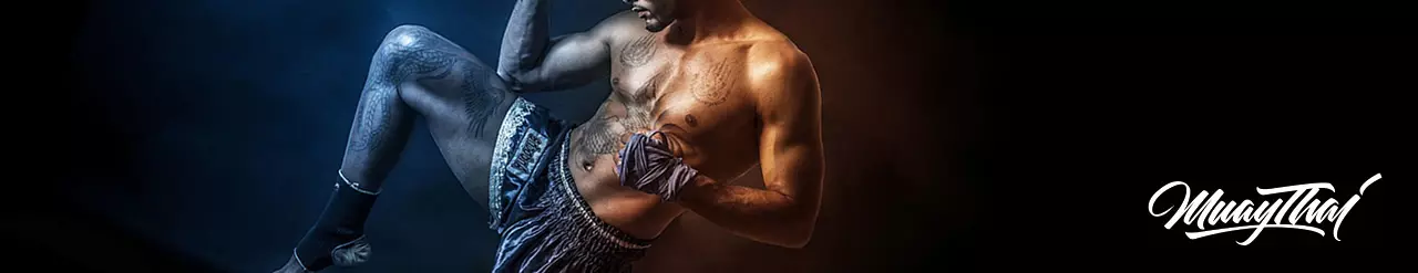 cat_muaythai