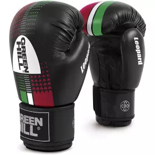 Luva de Boxe e Muay Thai Green Hill Leopard