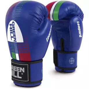 Luva de Boxe e Muay Thai Green Hill Leopard