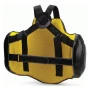 protetor torax abdominal corpo Everlast Couro PRO C3