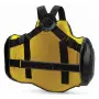 protetor torax abdominal corpo Everlast Couro PRO C3