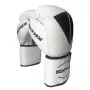 Luva Boxe Muay Thai Iron Arm
