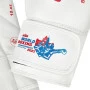 Luva de Boxe Green Hill Profissional World Champion Aprovada AIBA