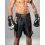 Short de Boxe Venum