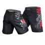 Bermuda Fightshort Venum Kenji Black Belt