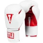 Luva de boxe e muay thai title