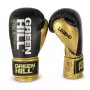 luva boxe muay thai Green Hill Couro