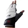 Luva Taekwondo Mooto Aprovada WT