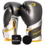 kit boxe e muay thai Pretorian