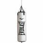 Saco de Pancadas Everlast MMA Boxe Muay Thai