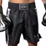 Short de Boxe Venum
