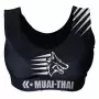 Top Muay Thai